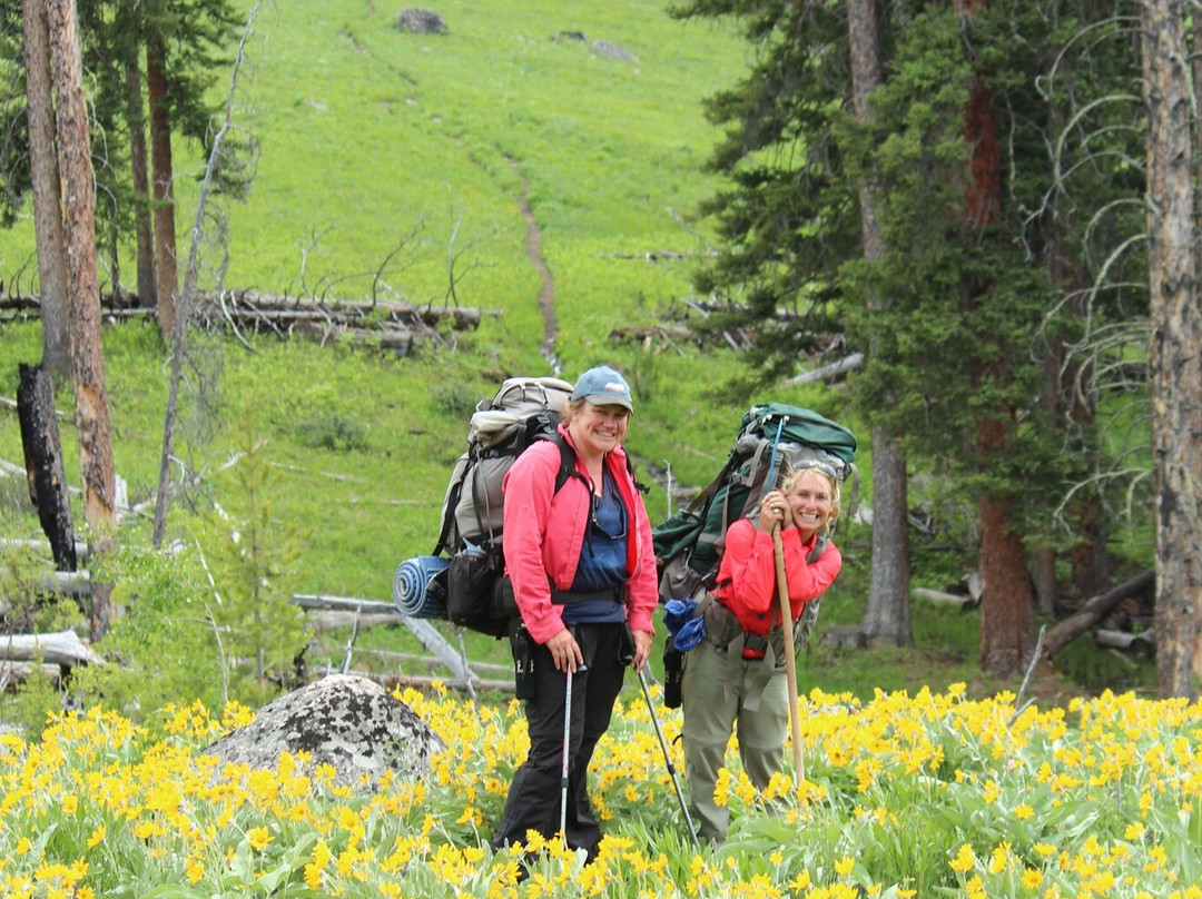 Yellowstone Hiking Guides景点图片
