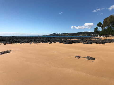 Johnsons Beach-企鹅岛必去景点