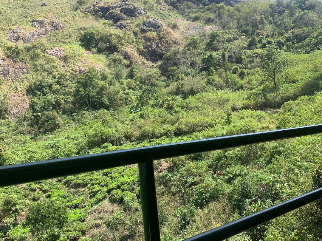 Mammoth's Cliff Jungle Resort主图