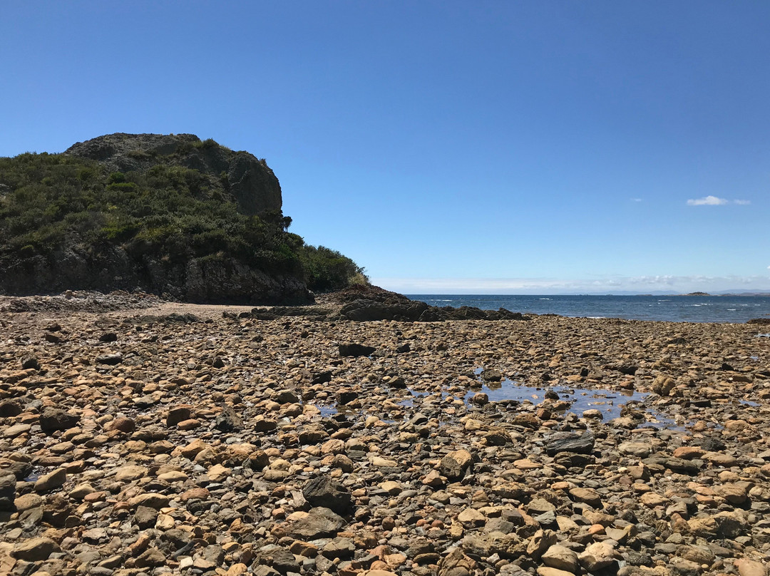 Goat Island-Ulverstone必去景点