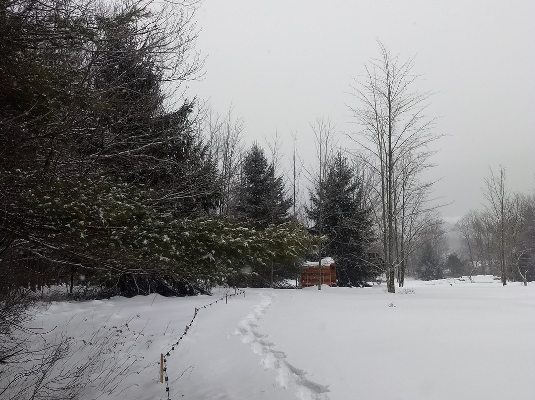 Eastwind Hotel & Bar主图