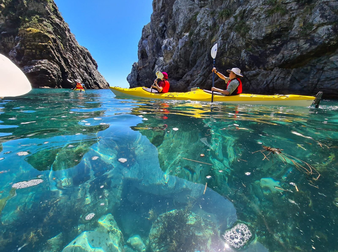 Cable Bay Kayaks-尼尔森必去景点