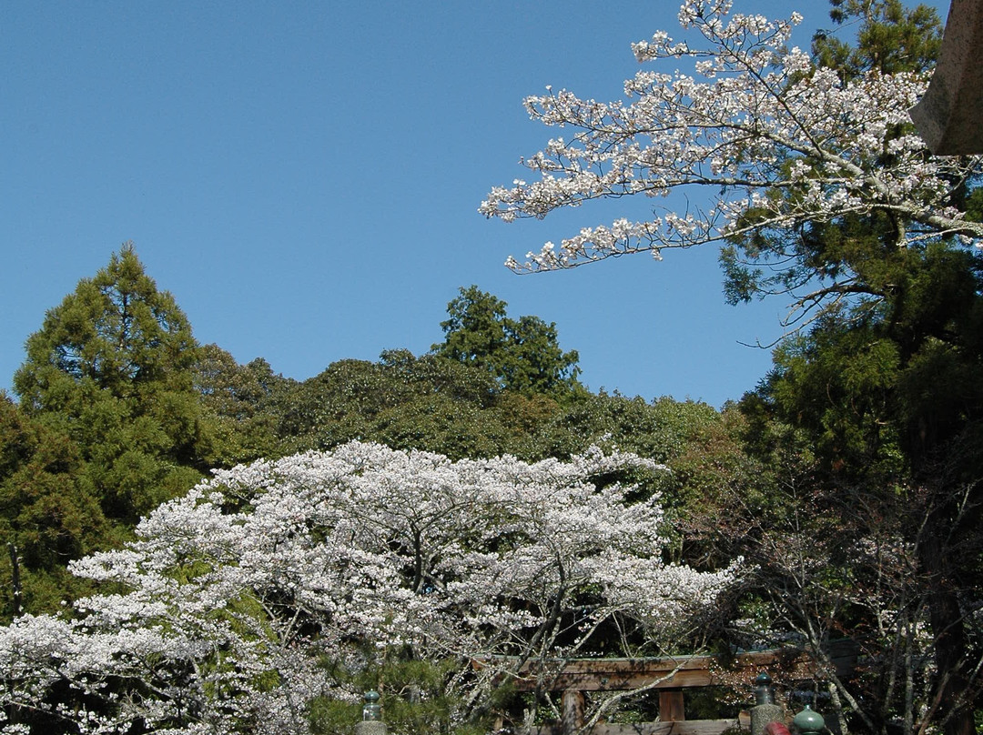 Itakiso Shrine-和歌山市必去景点