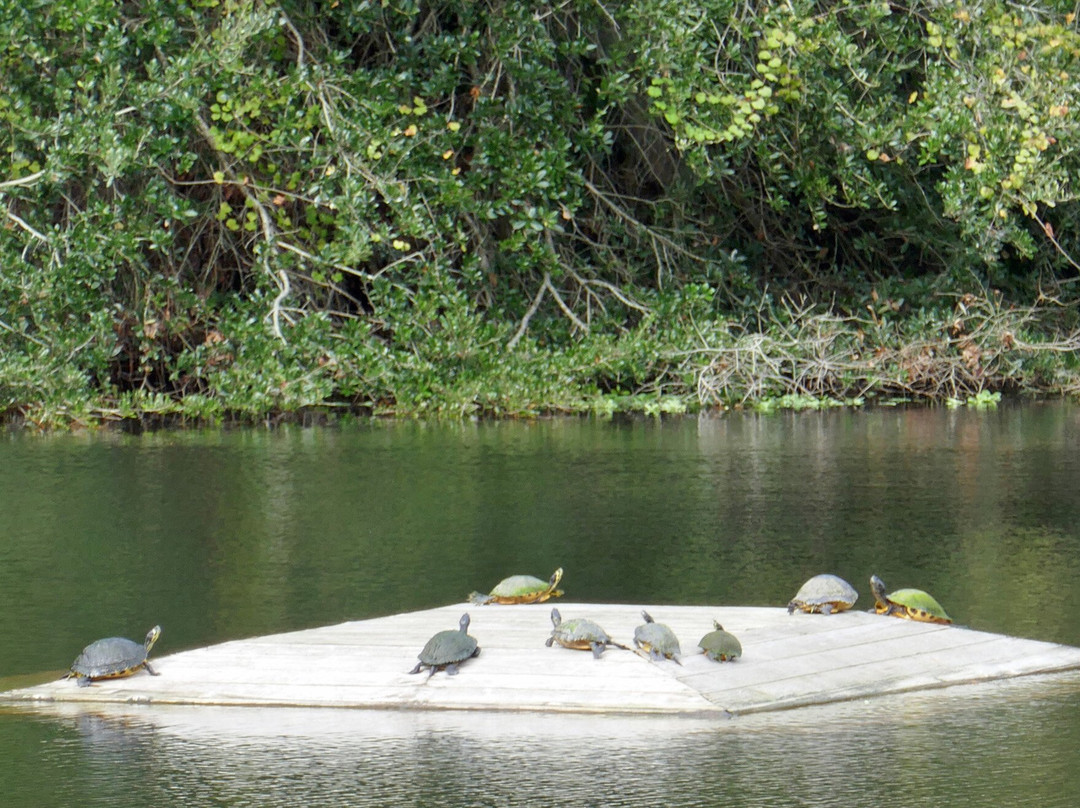 Horton Pond-吉柯岛必去景点