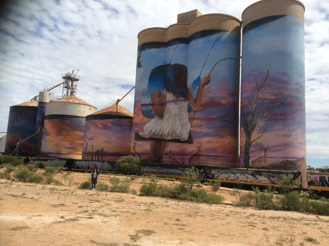 Silo Art Trail-Sheep Hills必去景点