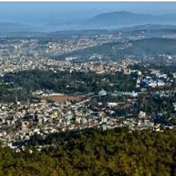 3B's Taxi Tours & Transportation Services-弗里波特必去景点