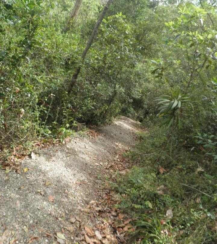 JC Slaughter Falls-布里斯班必去景点