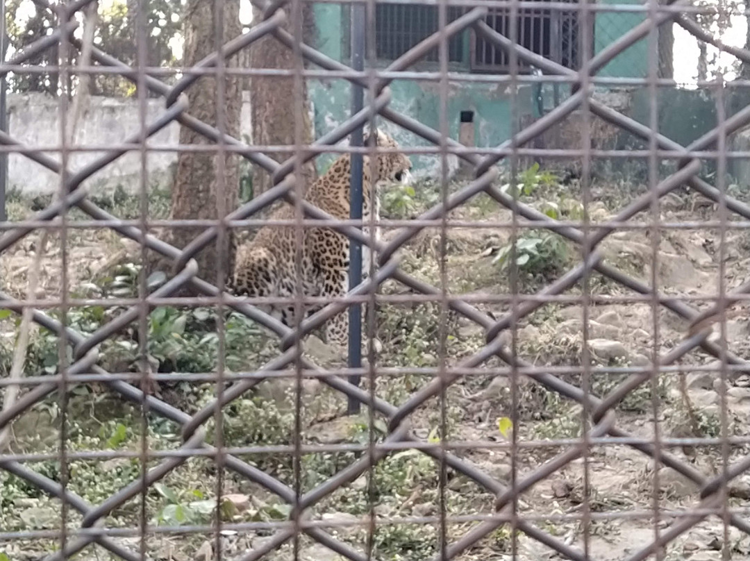 Dehradun Zoo景点图片