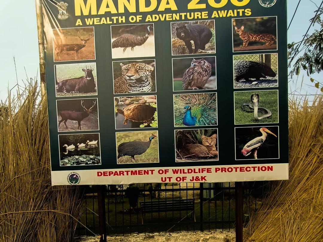 Manda Zoo Park景点图片
