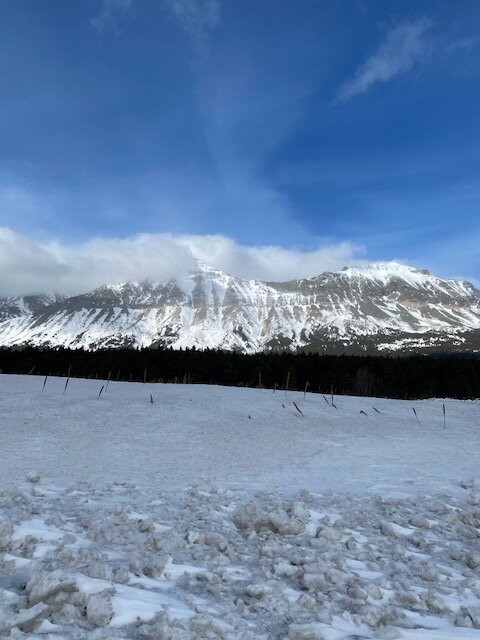 Marias Pass Obelisk景点图片