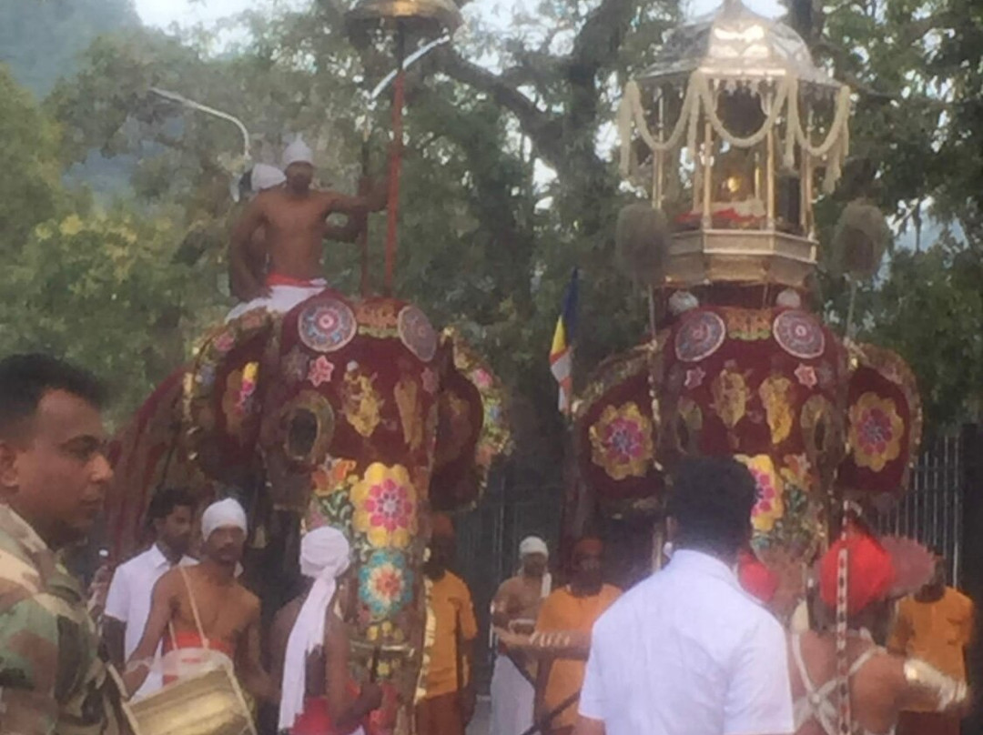 Poson Festival景点图片