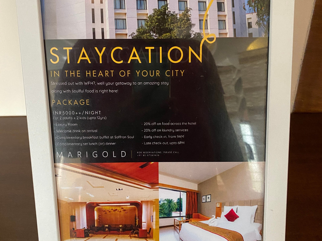 Marigold Hotel主图