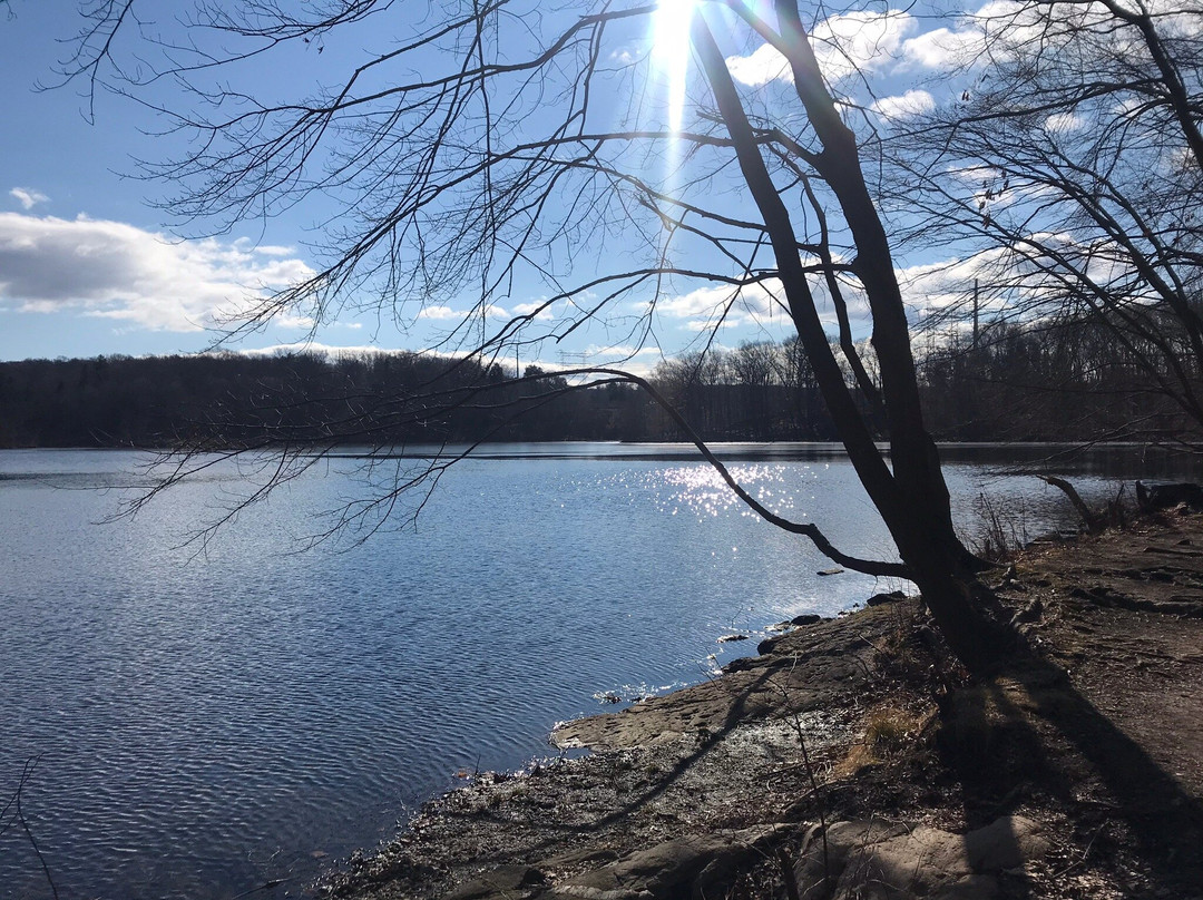 Teatown Lake Reservation景点图片