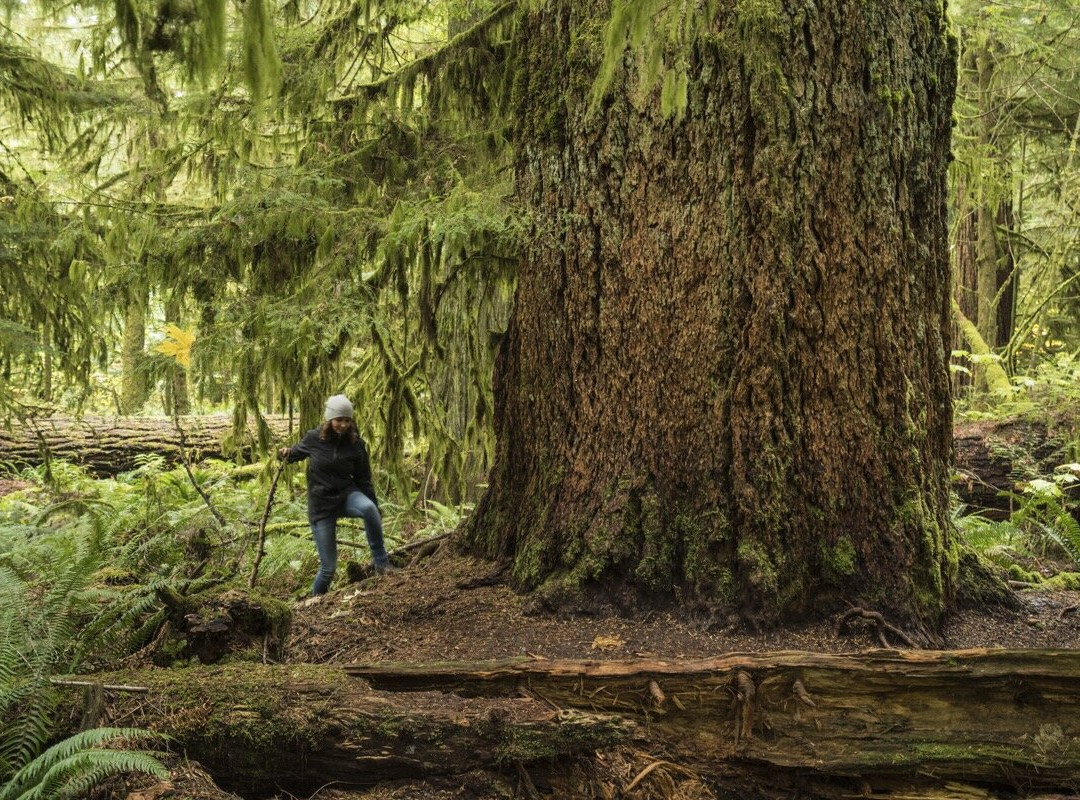 Mosaic Earth Travel-温哥华岛必去景点