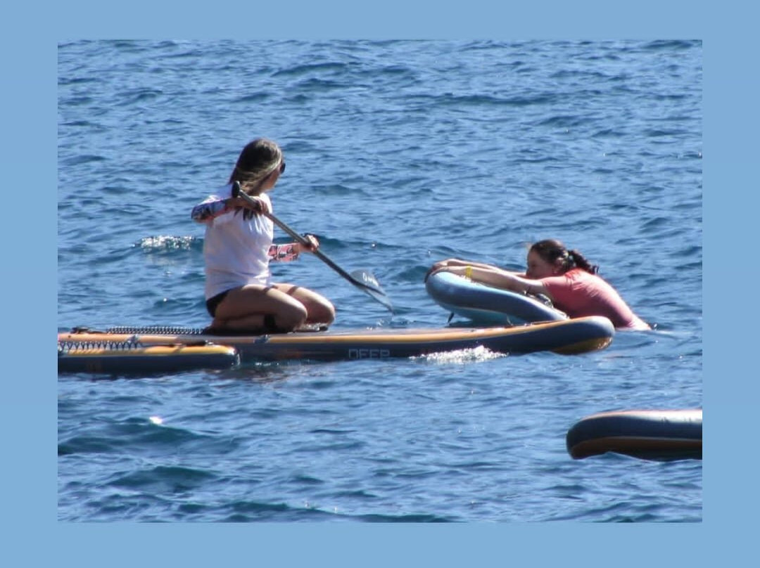 RUTA 203 RENTAL BIKE & SUP-Panguipulli必去景点