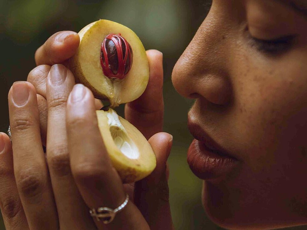 Nungwi Beach-孥归必去景点
