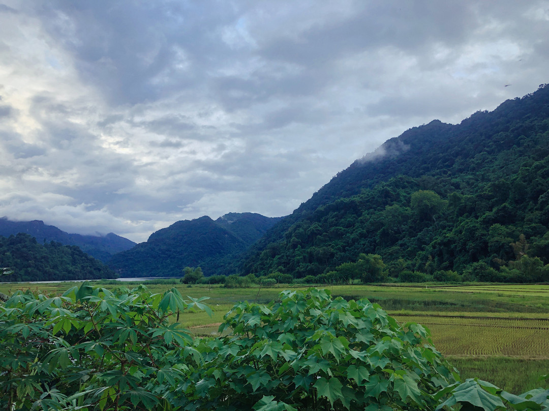 Hoanh Tu Homestay