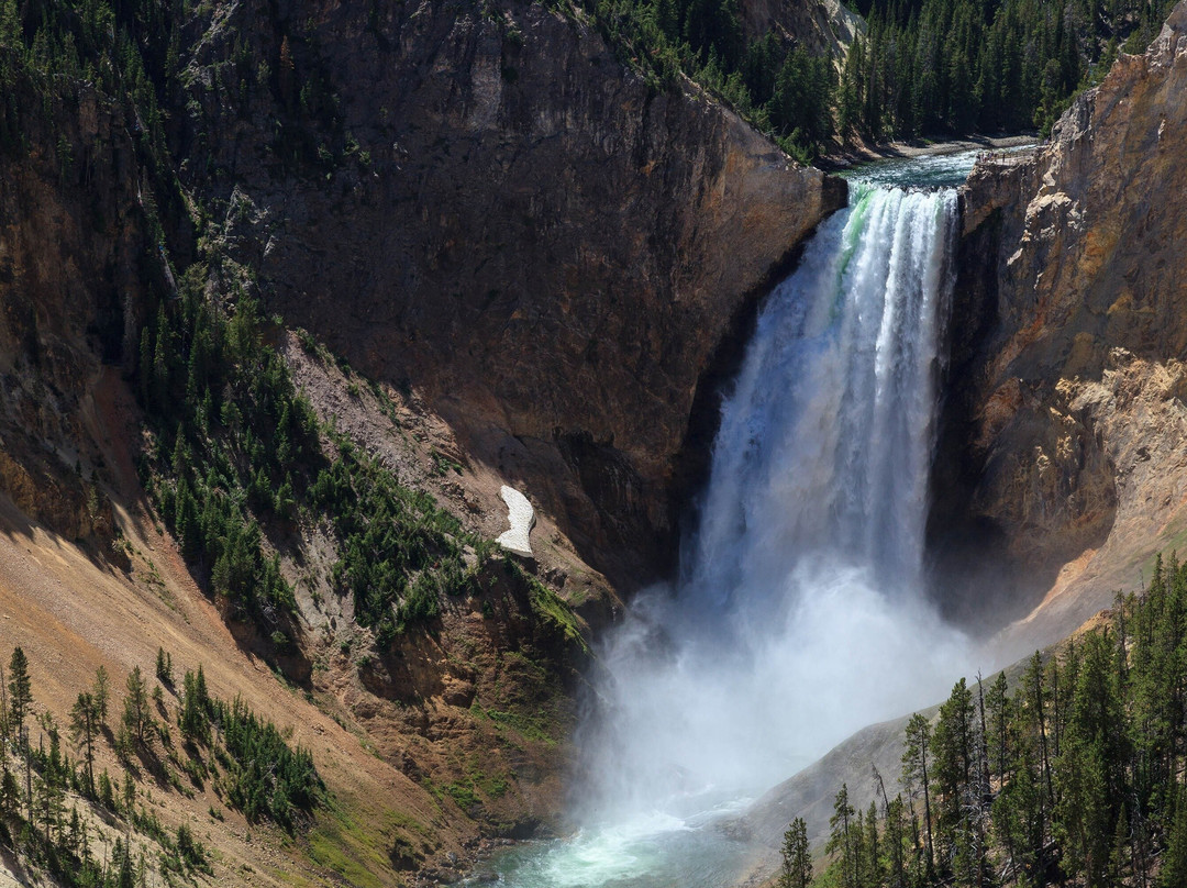 Yellowstone Safari Company景点图片