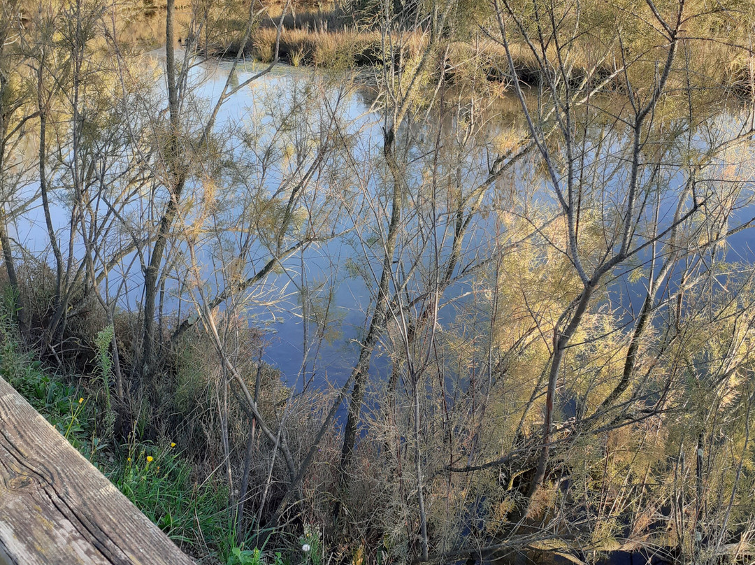 Riserva Naturale Valle Cavanata -Fossalon必去景点