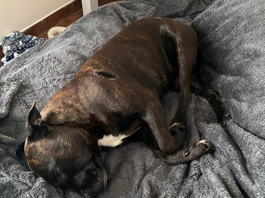 Remhoogte Wine Estate-斯泰伦博斯必去景点