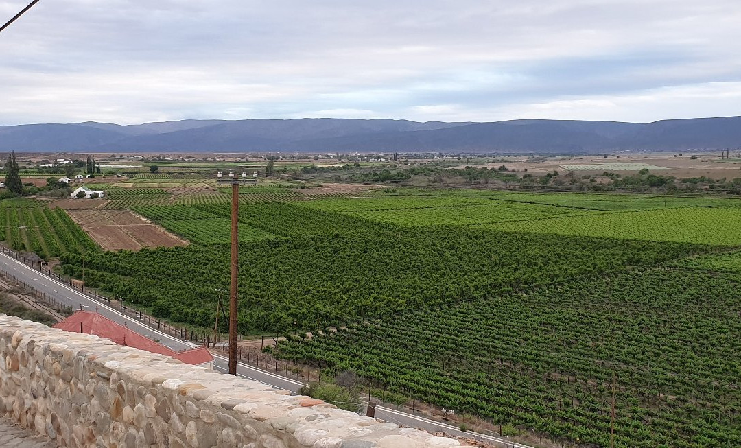 Calitzdorp Cellar-Calitzdorp必去景点