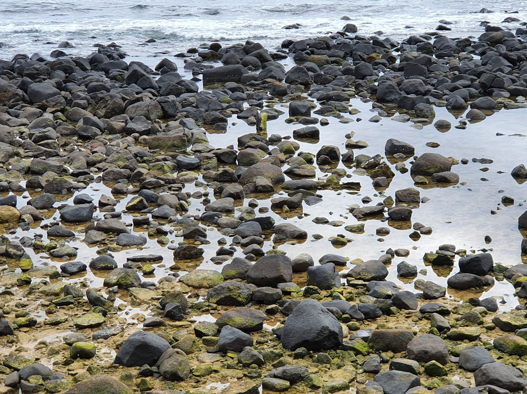 Burleigh Heads Rock Pools-伯利角必去景点