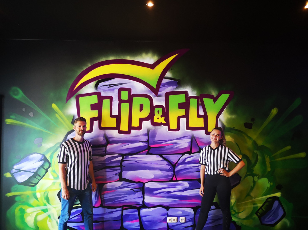 Flip & Fly景点图片