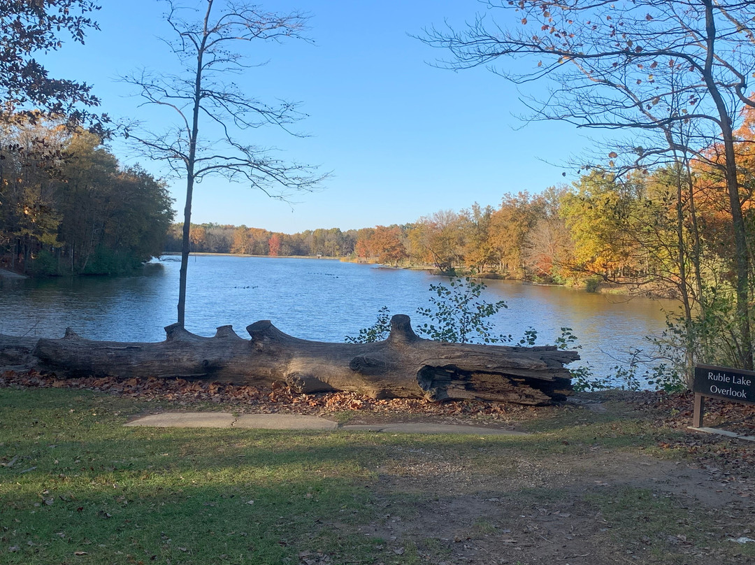 Fowler Park-特雷霍特必去景点