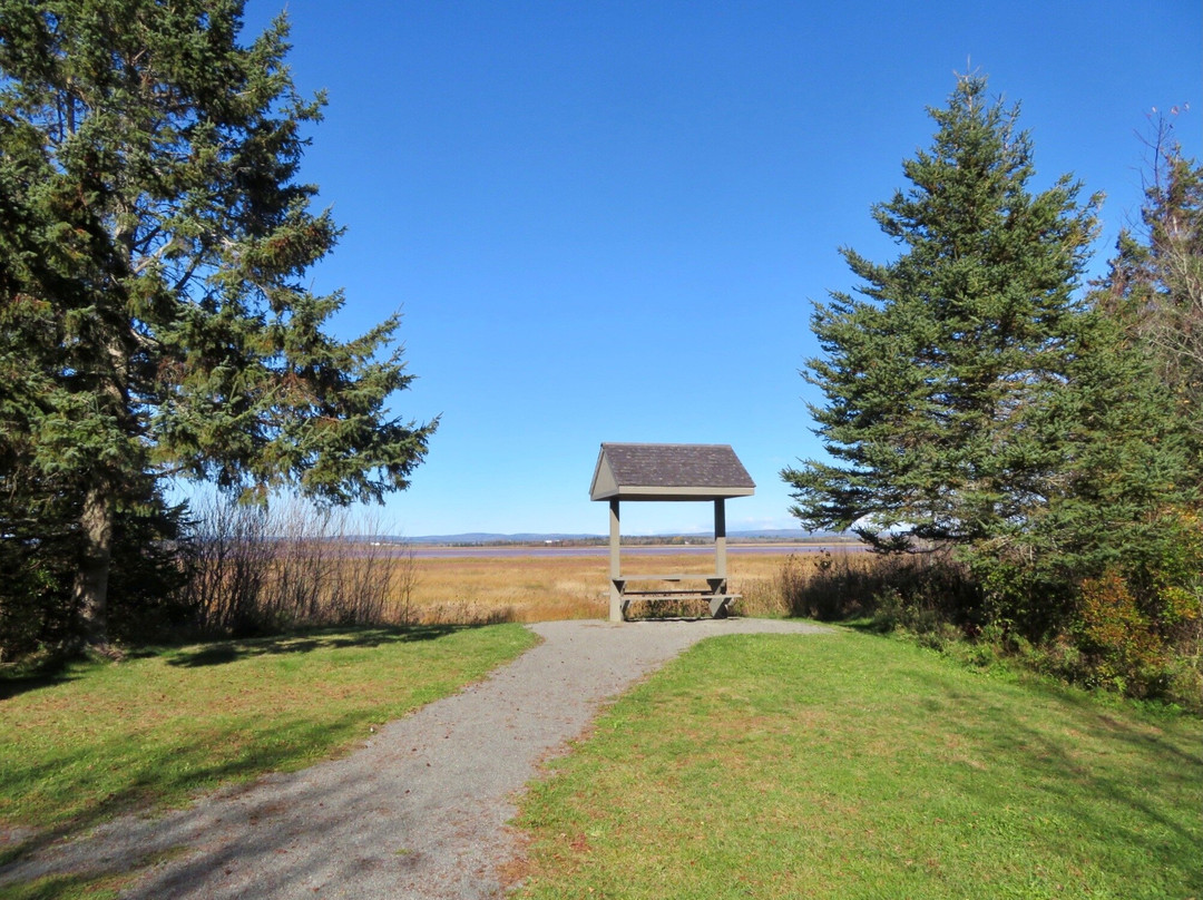 Cobequid Trail景点图片