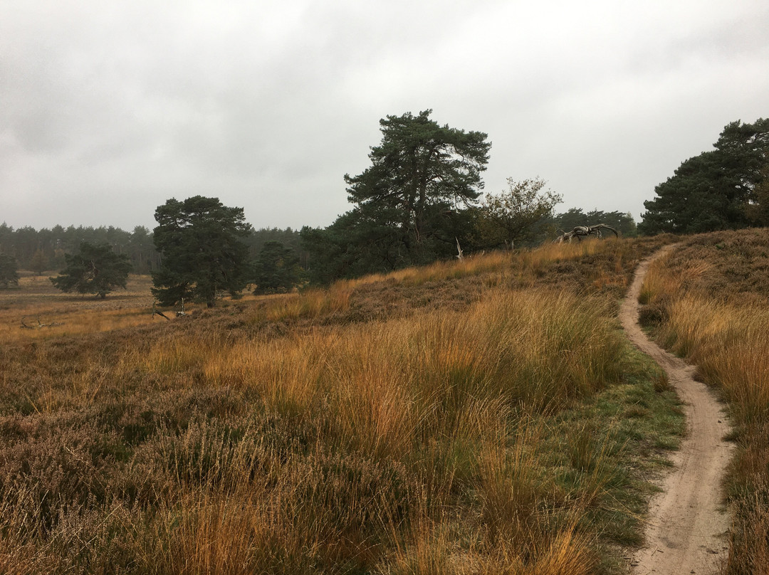 Mountainbiken Op De Veluwe-Emst必去景点