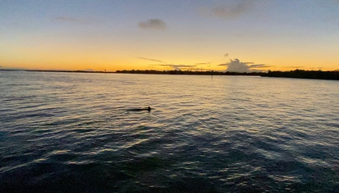 Let's Do Sunset-Cape Haze必去景点