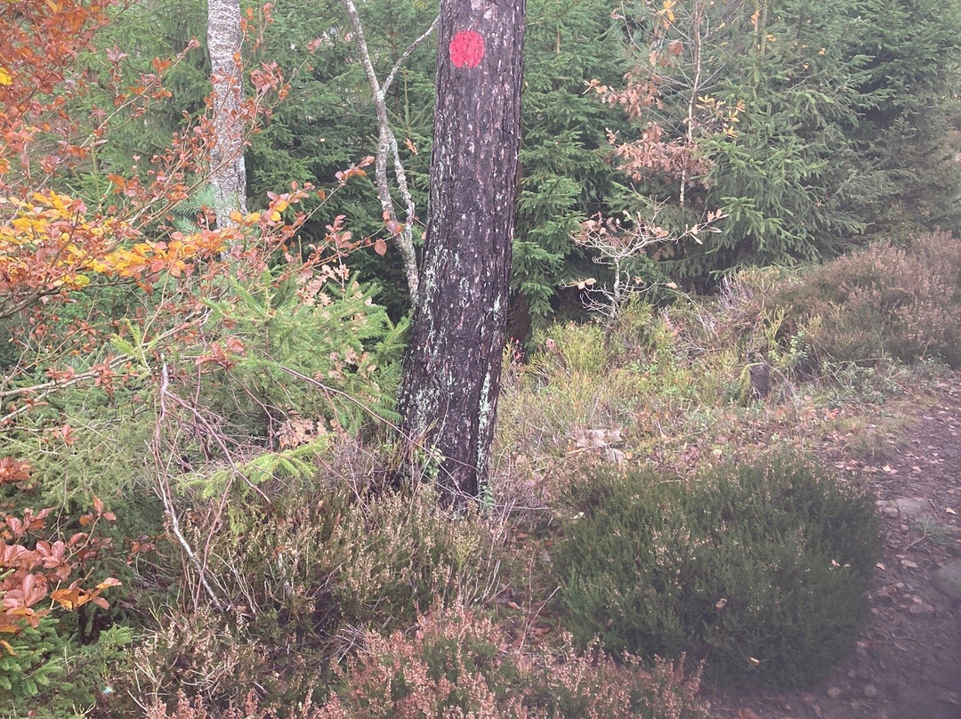 Grytåsa strövområde-Orkelljunga必去景点