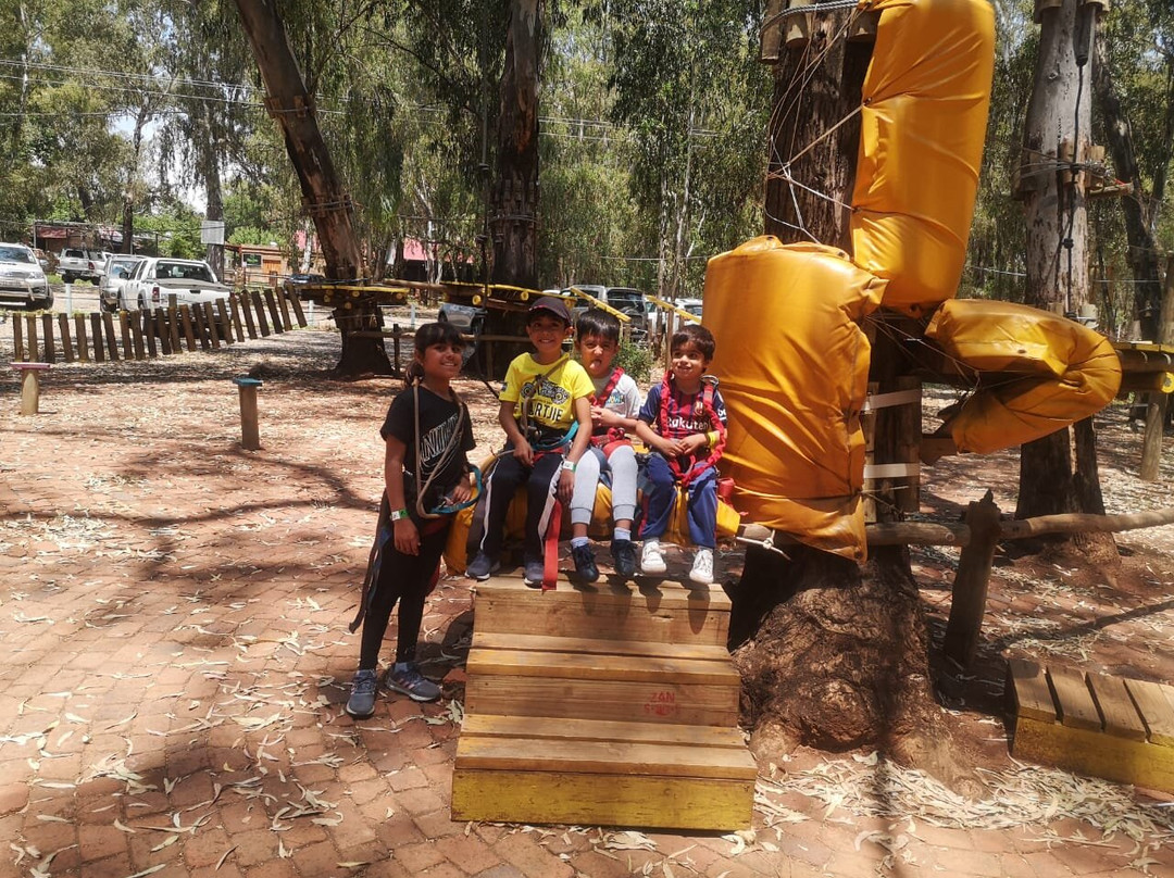 Acrobranch Centurion-三图里恩必去景点