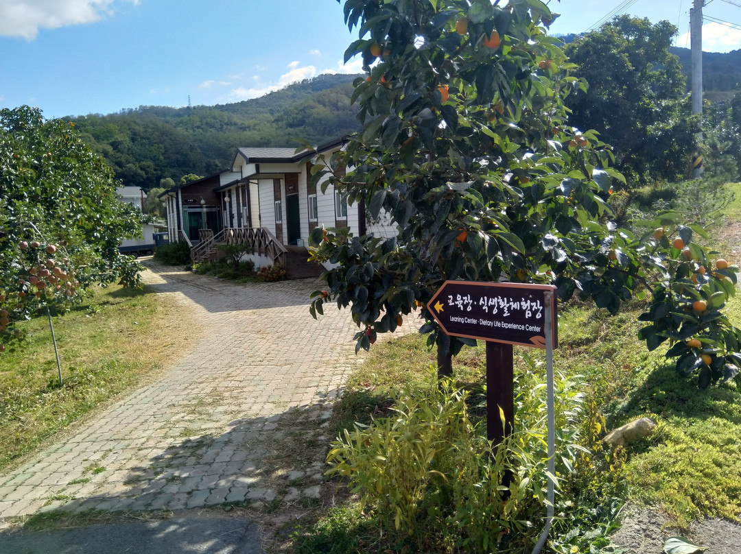 Nakdong Seunggok Village-尚州市必去景点