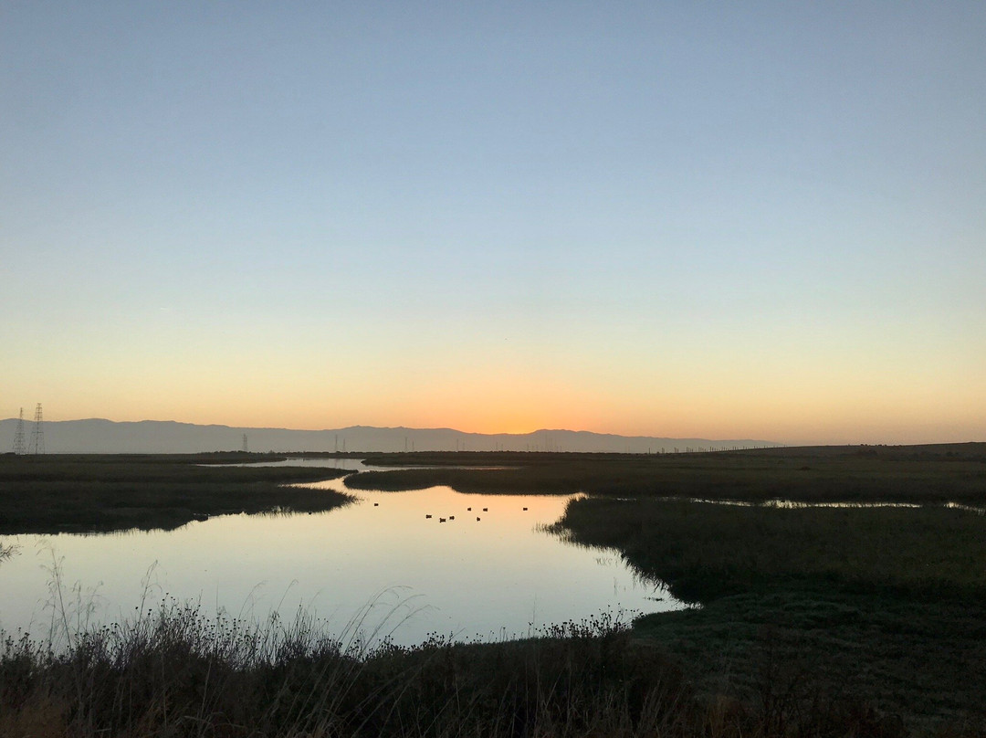 帕罗奥图海湾湿地自然保护区景点图片