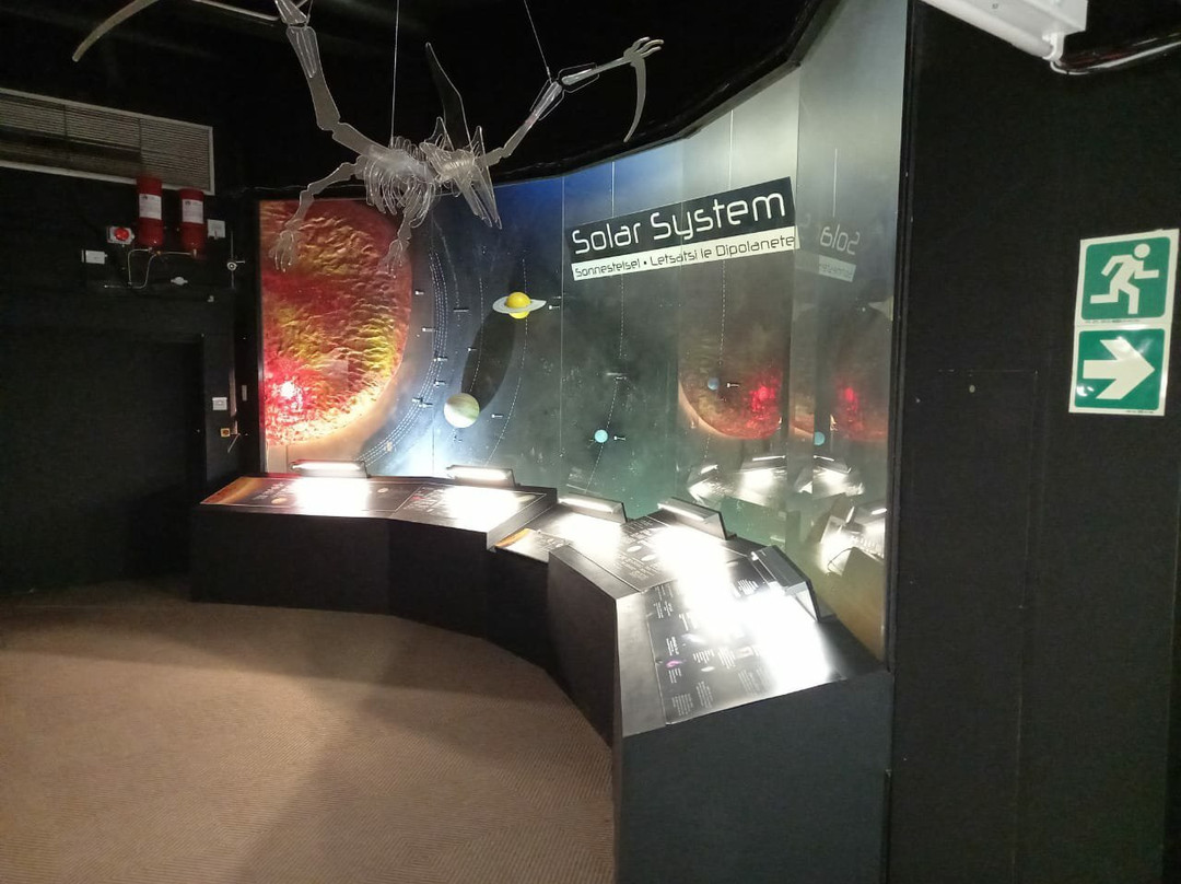 The National Museum-布隆方丹必去景点