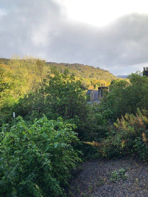 Aberdunant Hall Holiday Park主图