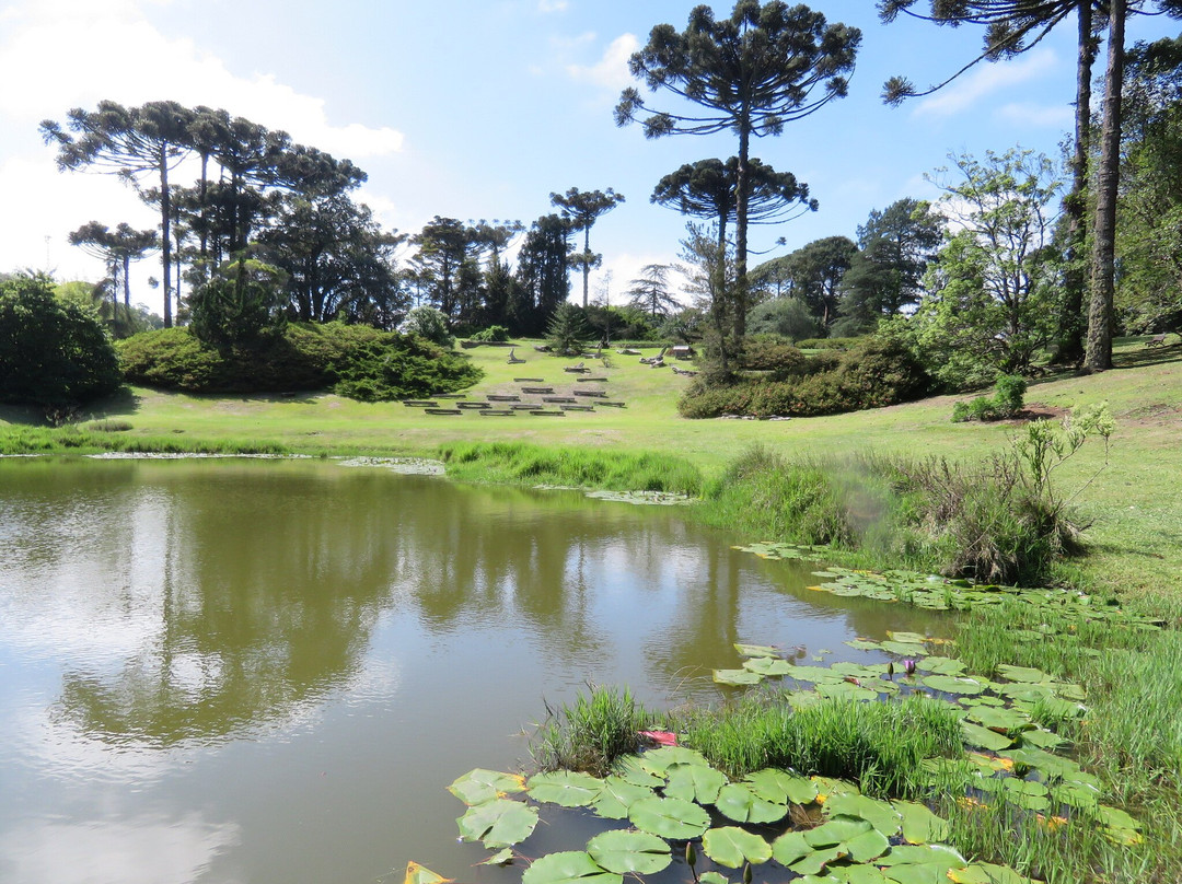 Jardim Botânico de Faxinal do Céu景点图片