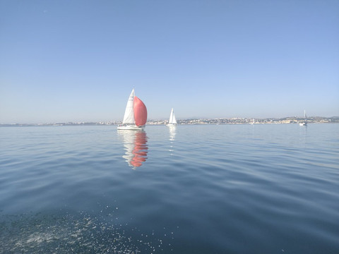 Feathers & Scales-里斯本必去景点