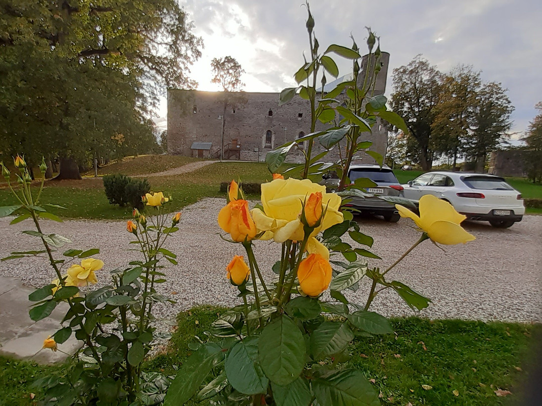 Padise Manor & Spa Hotel主图