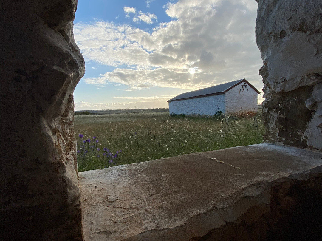 Oakabella Homestead, Tea Rooms and Campground-Bowes必去景点