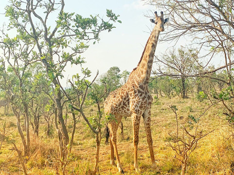 Kassidi Zanzibar Tours and Safaris-石头城必去景点
