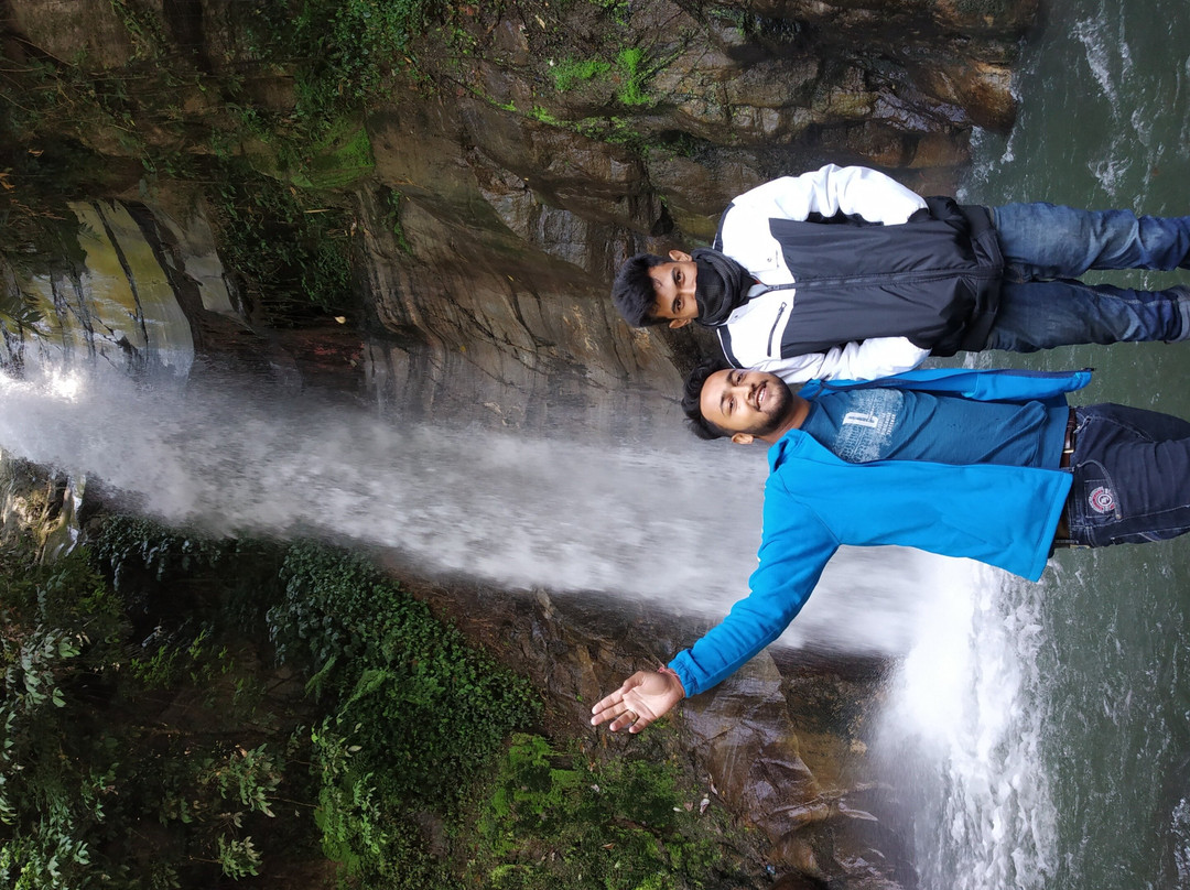 Assamica Tours and Travels景点图片