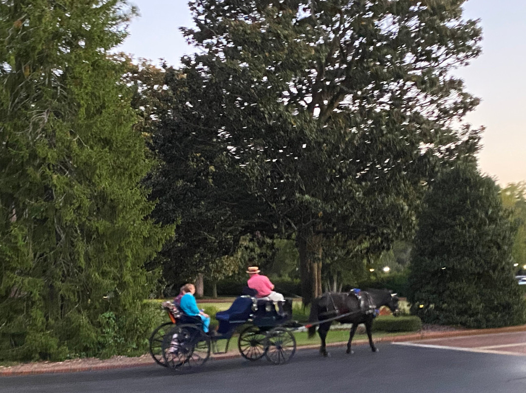 Pinehurst Golf Resort主图