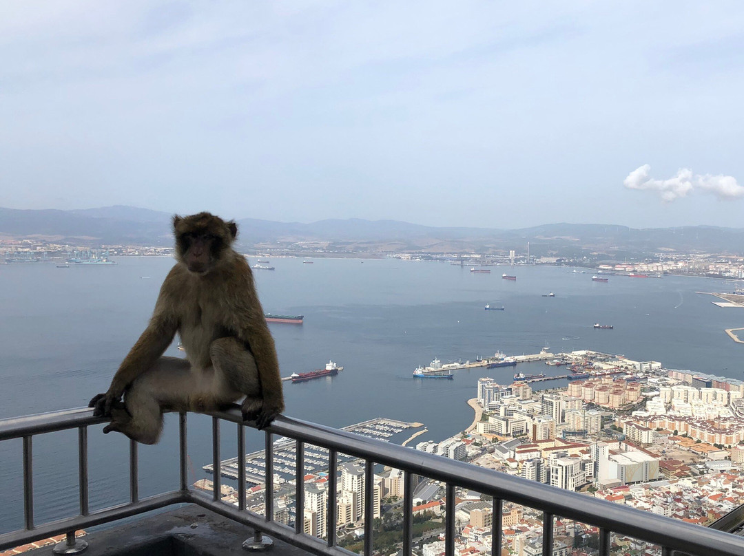 Gibraltar Sightseeing-Gibraltar Town必去景点