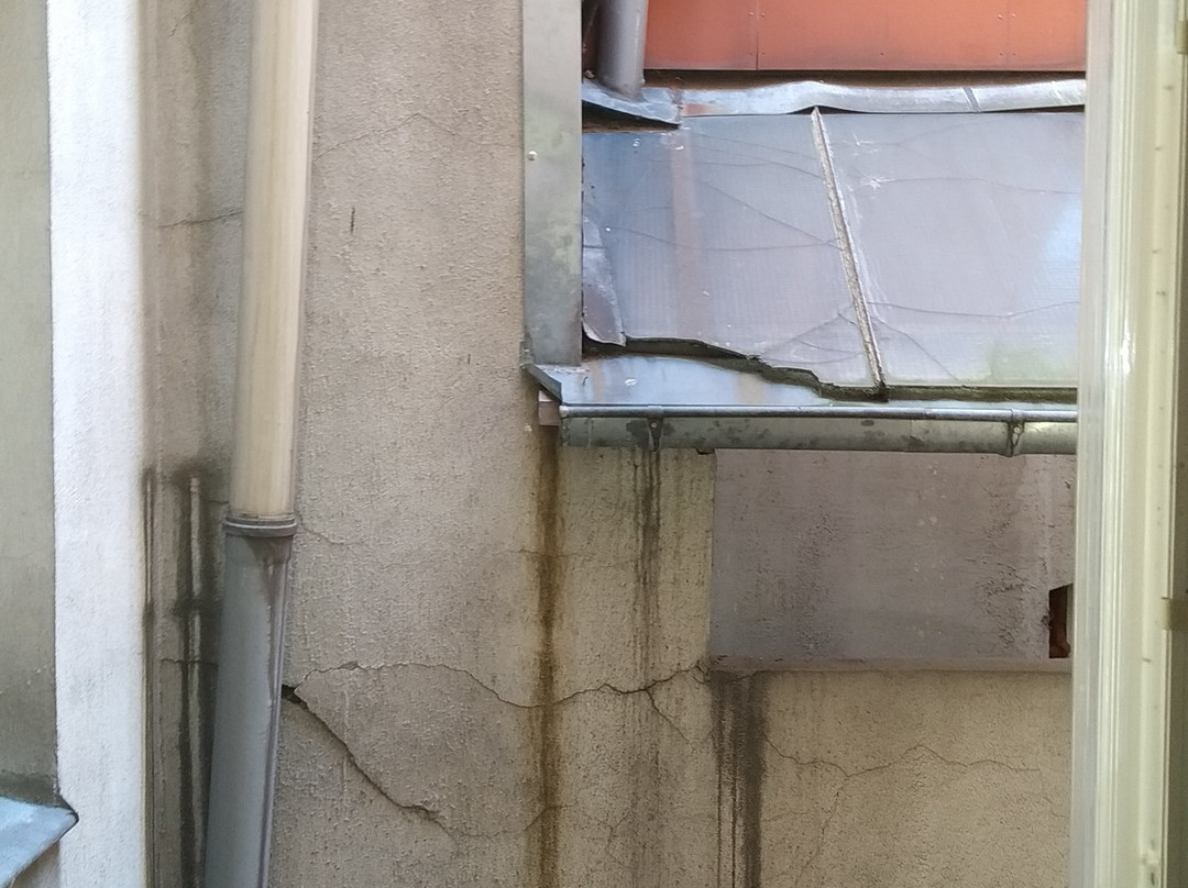 Altstadt-Wiege主图