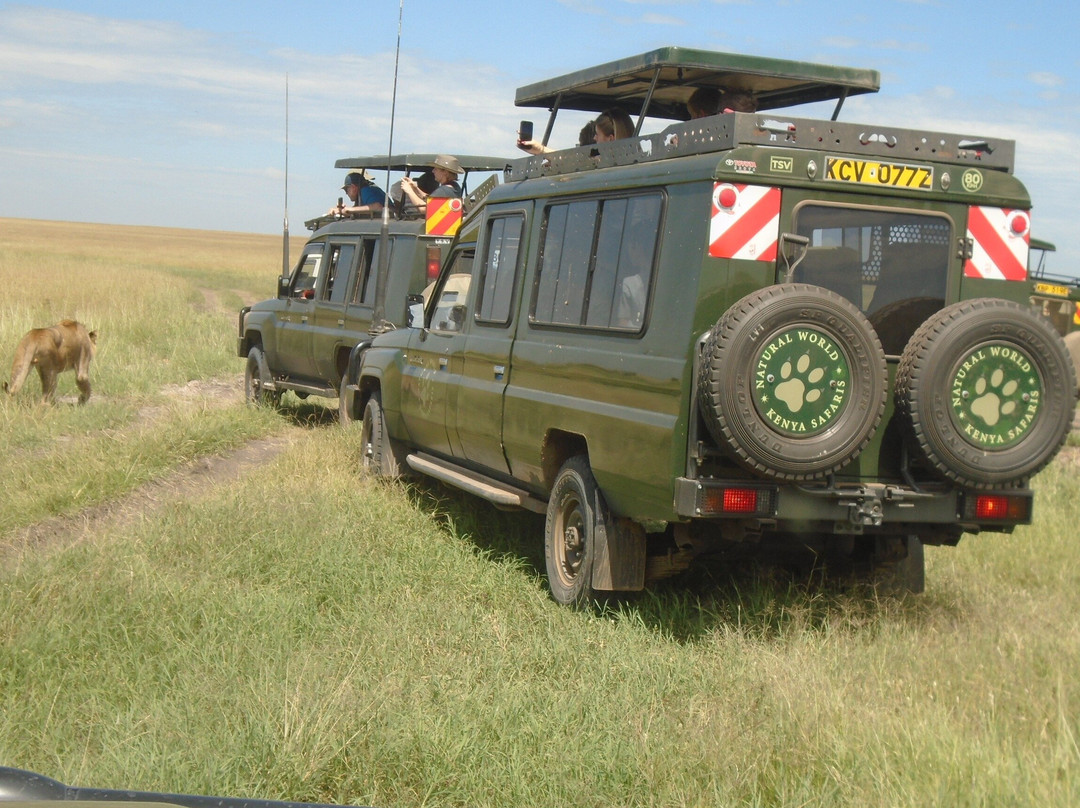 Natural World Kenya Safaris-Masai Mara景点图片