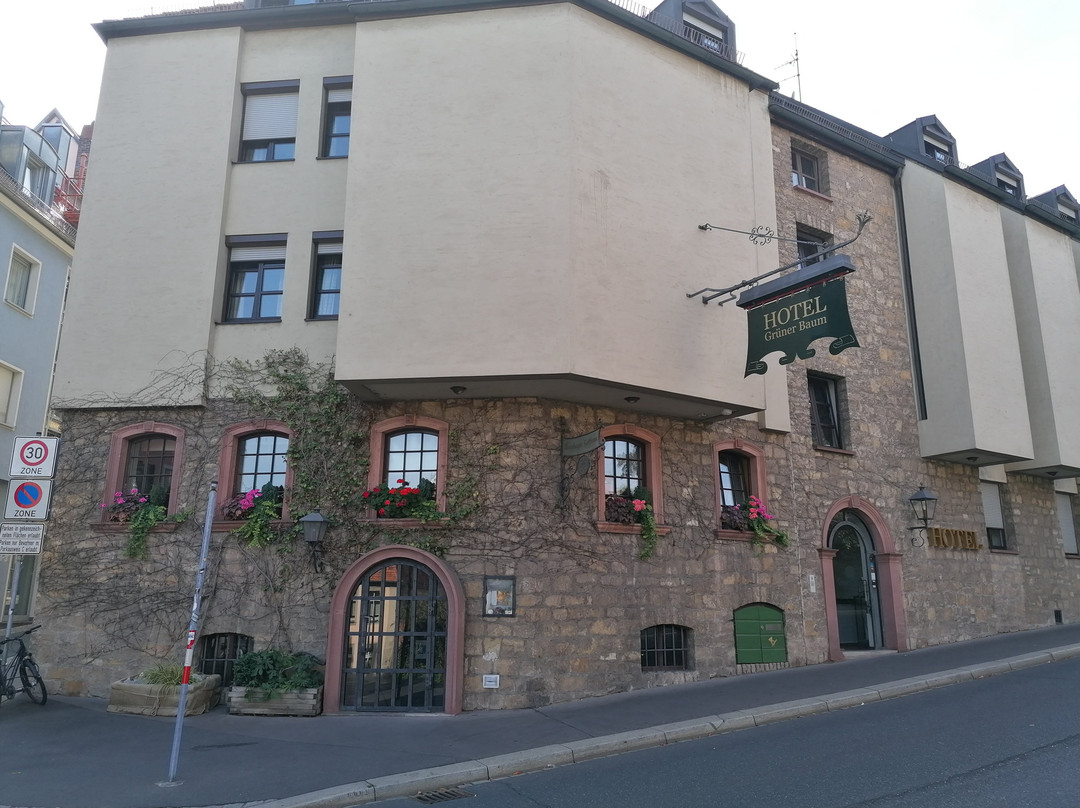 Hotel Gruener Baum主图