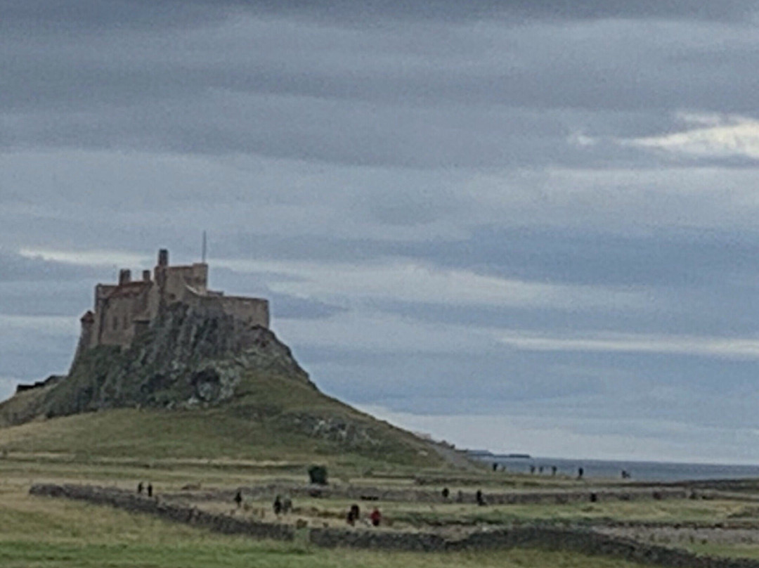 The Island View Inn主图