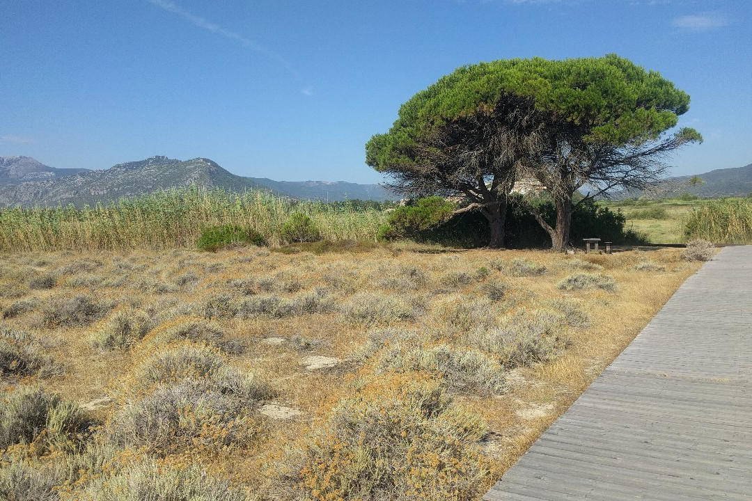 Spiaggia Di Sutt'e Riu (i 2 Pini)-Posada必去景点